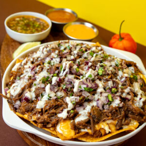 Nachos Birria